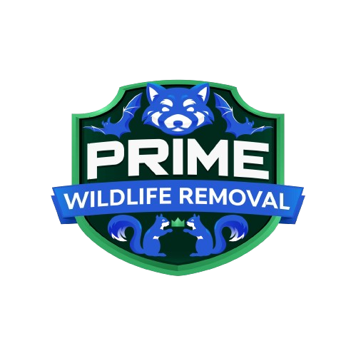 Animal Removal Osceola County